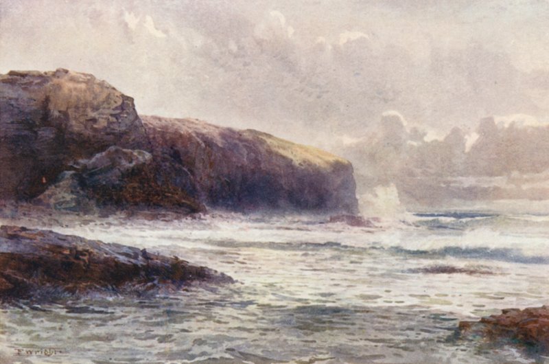 Nový Zéland: (barevná litografie) od Frank H Wright