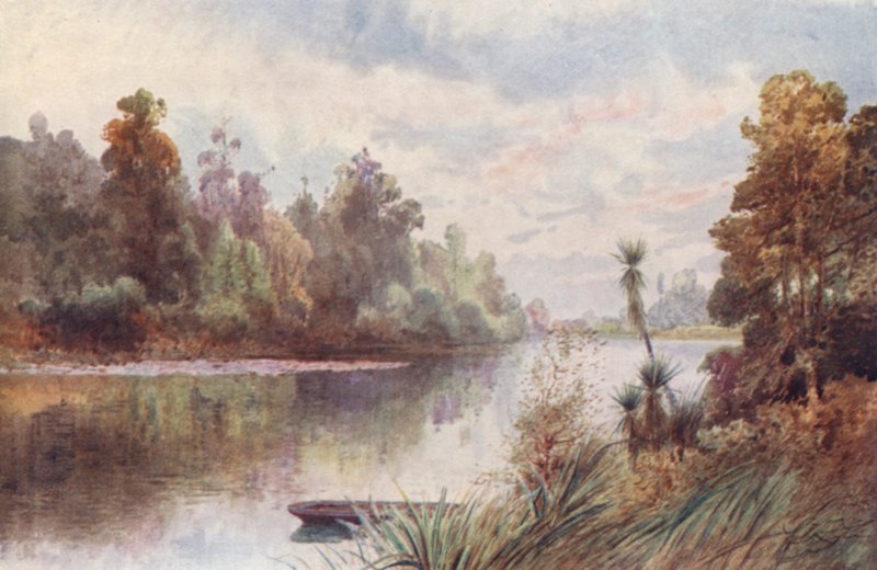 Nový Zéland: Na řece Pelorus (barevná litografie) od Frank H Wright