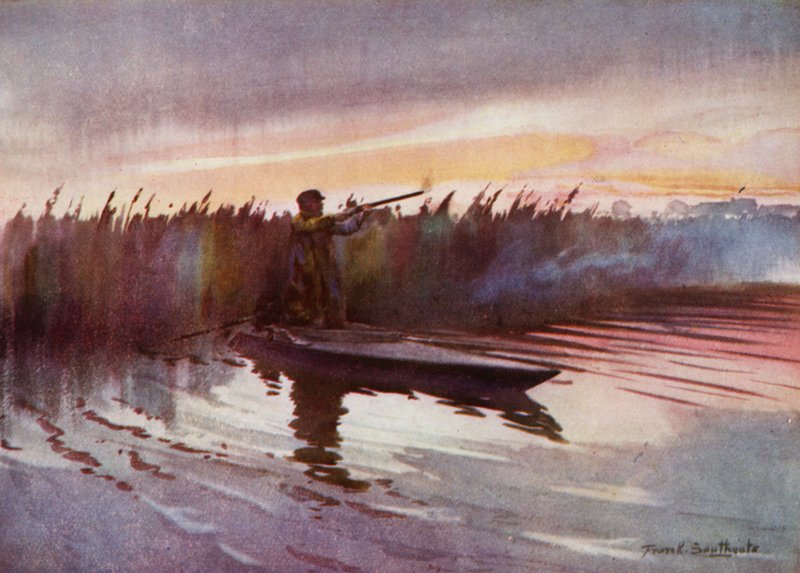 Norfolk Broads: Flight-Shooting (barevné lito) od Frank Southgate