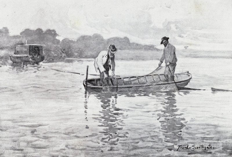 Norfolk Broads: Vytahování Eel-Pods od Frank Southgate