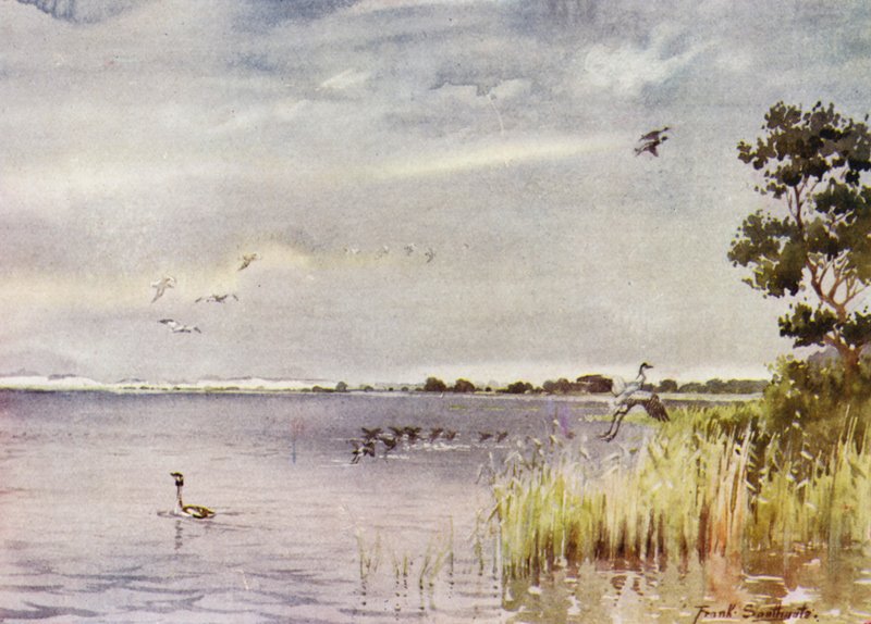 Norfolk Broads: Horsey Mere od Frank Southgate