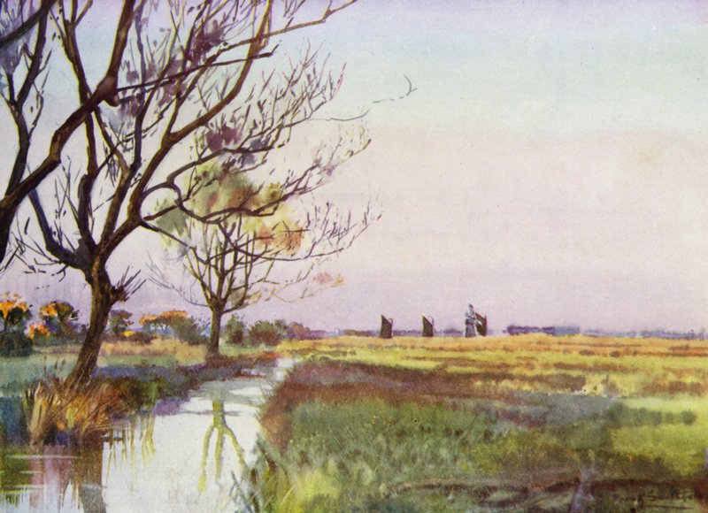 Norfolk Broads: Marshland poblíž Barton (barevné lito) od Frank Southgate