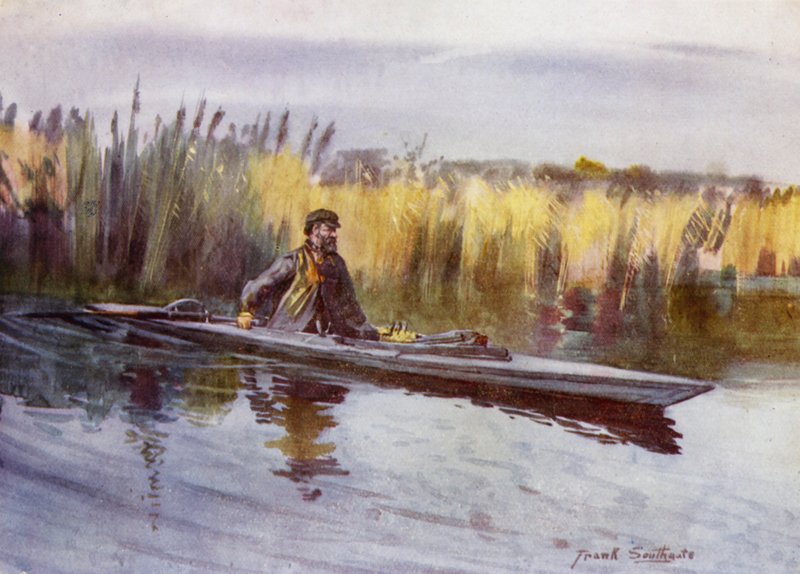 Norfolk Broads: „Vědecké“ spoty Fowl (barevné lito) od Frank Southgate