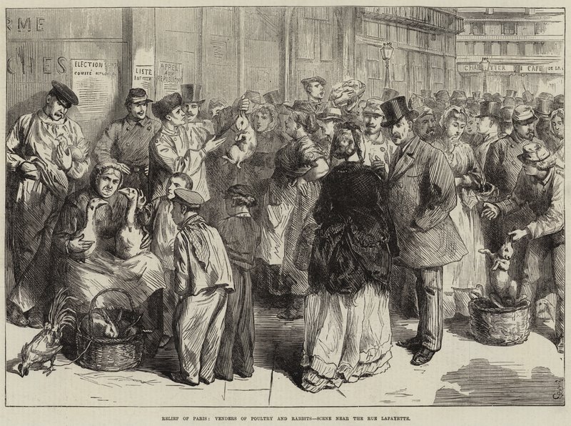 Reliéf Paříže, Prodejci drůbeže a králíků, Scéna poblíž Rue Lafayette od Frederick Barnard