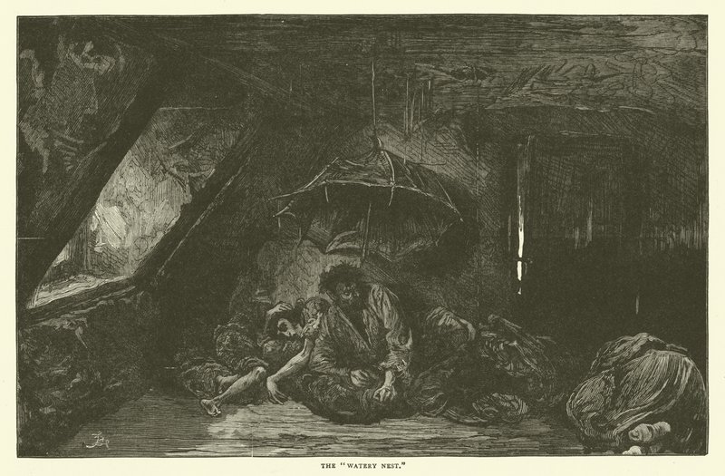Vodnaté hnízdo od Frederick L. Bernard