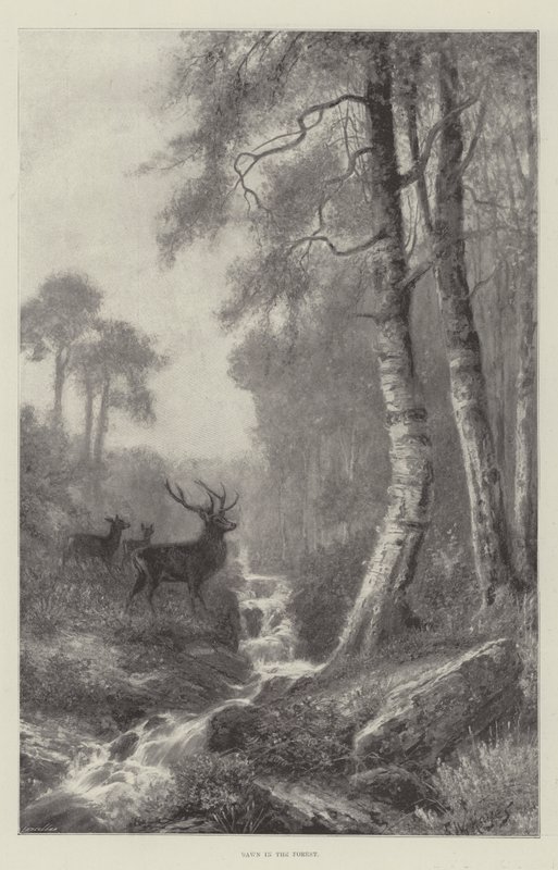 Svítání v lese od Frederick William Hayes