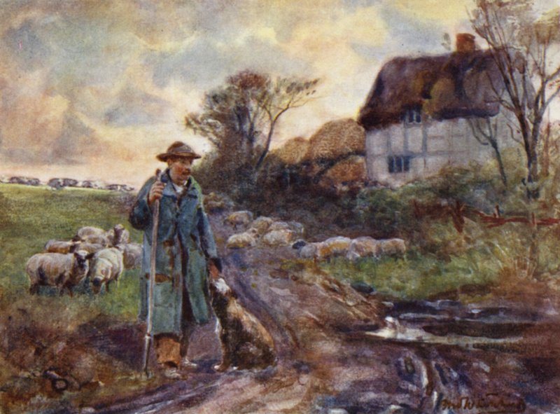 Žebrácké koště od Frederick William Newton Whitehead