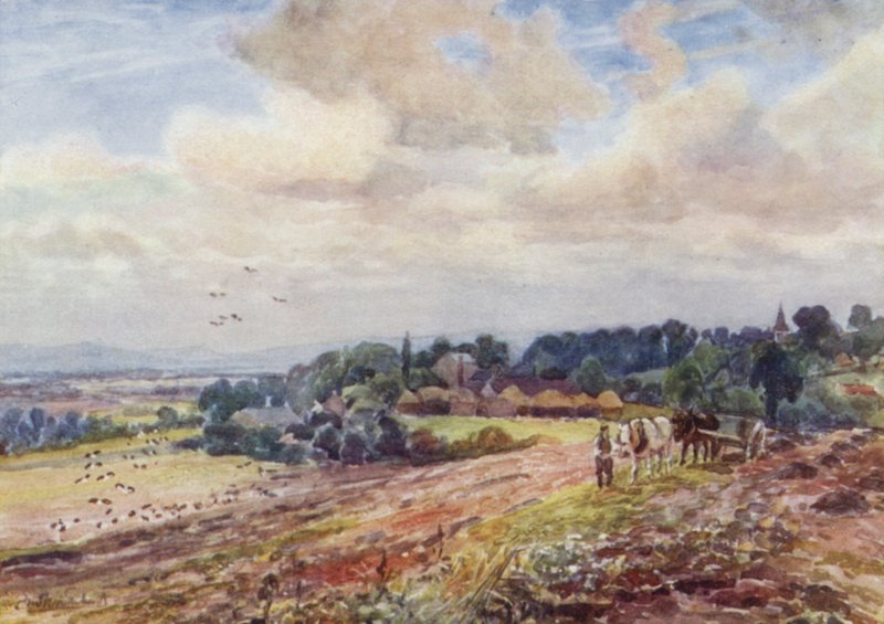Hladový Grafton od Frederick William Newton Whitehead