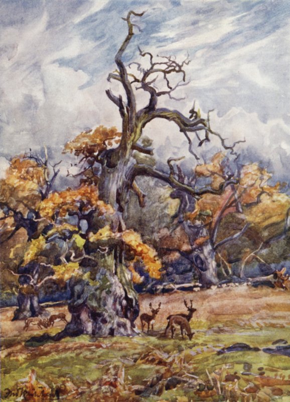 Packington Park od Frederick William Newton Whitehead