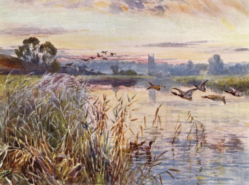 Salford Priors od Frederick William Newton Whitehead