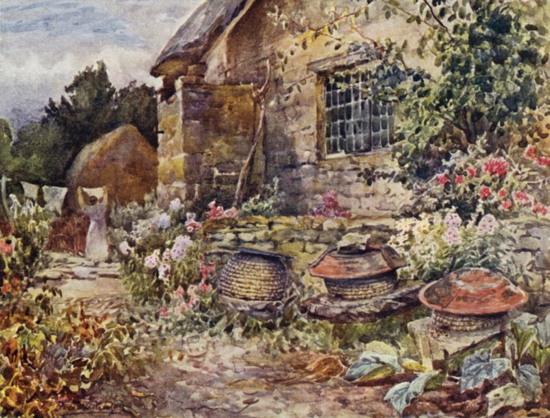 Winderton od Frederick William Newton Whitehead