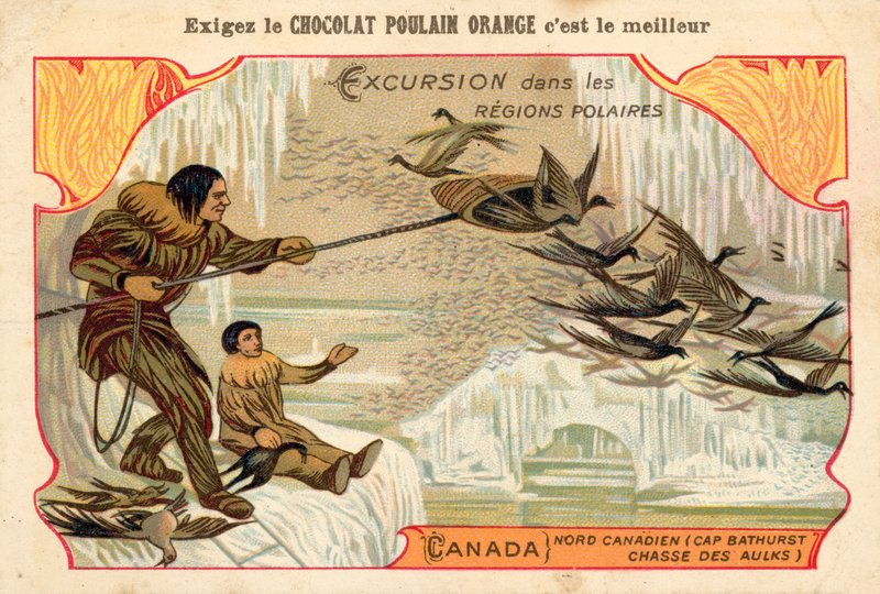 Lov ptáků, Cape Bathurst, severní Kanada od French School
