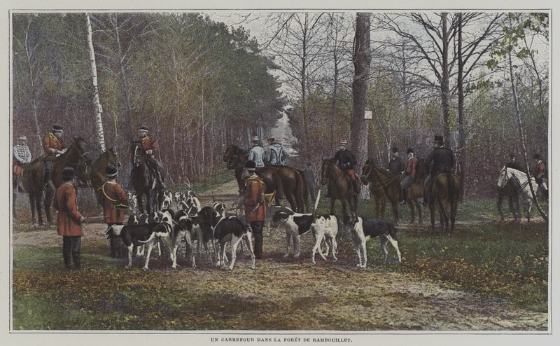 Křižovatka ve Foret de Rambouillet, Francie (barevné foto) od French Photographer