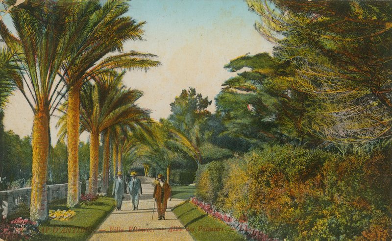 Alley of the Palms, zahrady Villa Eilenroc, Cap dAntibes, Francie. Pohlednice odeslána v roce 1913 od French Photographer