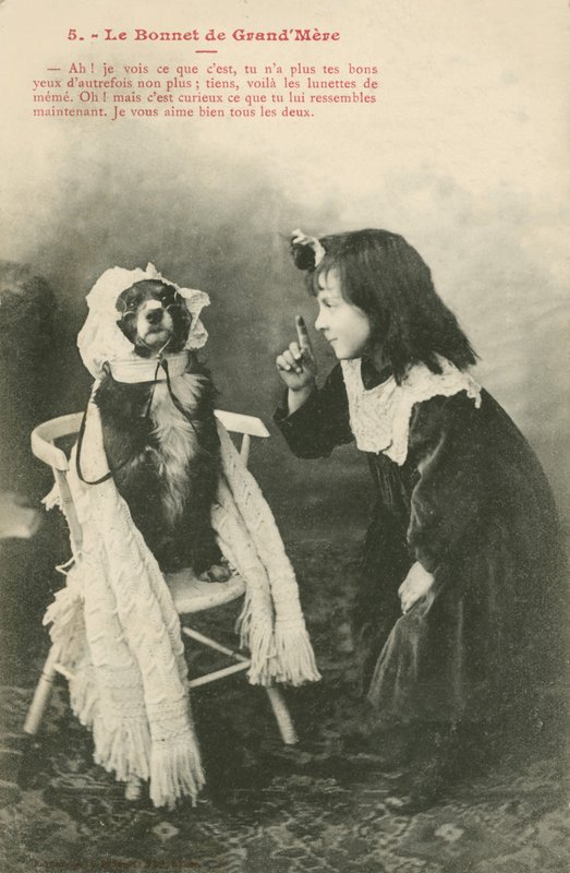 Dítě obléká svého psa do čepice (černobílá fotografie) od French Photographer