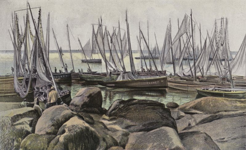 Rybářské lodě Concarneau, Sardinky od French Photographer