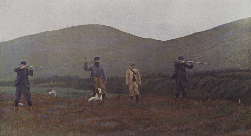 Střelba tetřevů ve Skotsku (barevné foto) od French Photographer