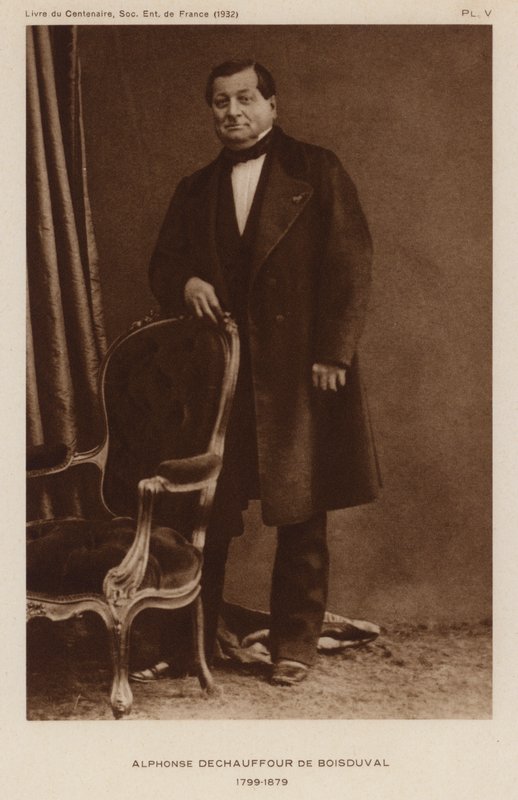 Jean Baptiste Boisduval, francouzský lepidopterista a botanik (černobílá fotografie) od French Photographer