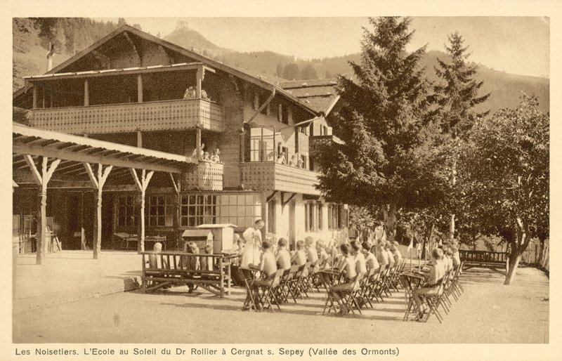Lískové Stromy, Škola Na Slunci od French Photographer