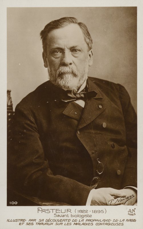 Louis Pasteur (1822-1895), francouzský chemik a mikrobiolog od French Photographer