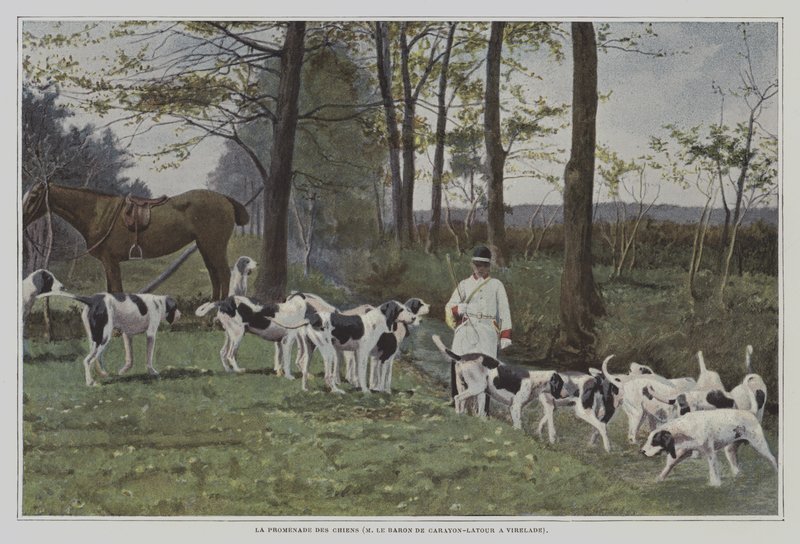 Smečka psů barona de Carayon-Latour ve Virelade, Francie (barevné foto) od French Photographer