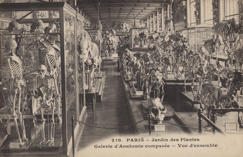 Paříž, Jardin Des Plantes od French Photographer