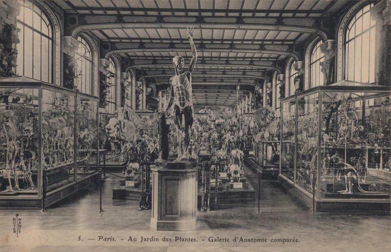 Paříž, Jardin Des Plantes od French Photographer