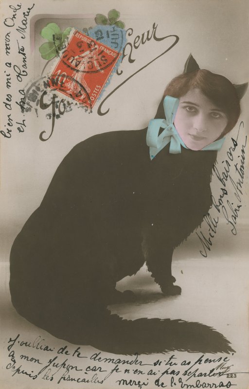 Pohlednice kočky s ženskou tváří, odeslána v roce 1913 od French Photographer