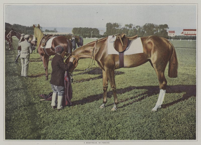 Dostihové koně v Deauville, Francie (barevné foto) od French Photographer