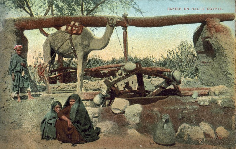 Sakia, Horní Egypt (barevná fotografie) od French Photographer