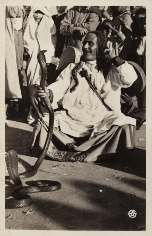 Scény severní Afriky: Zaklínač hadů na Souks od French Photographer