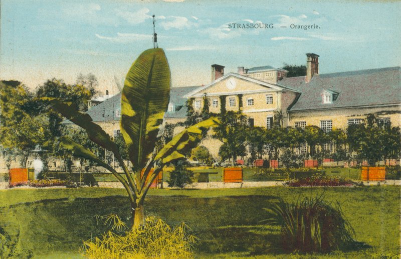 Štrasburk: Orangerie (barevné foto) od French Photographer