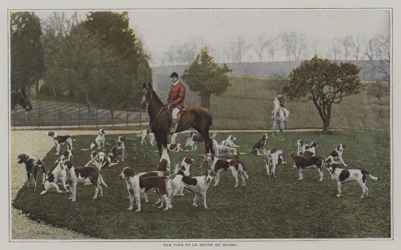 Tom Firr a psi z Quorn Hunt, Leicestershire (barevná fotografie) od French Photographer