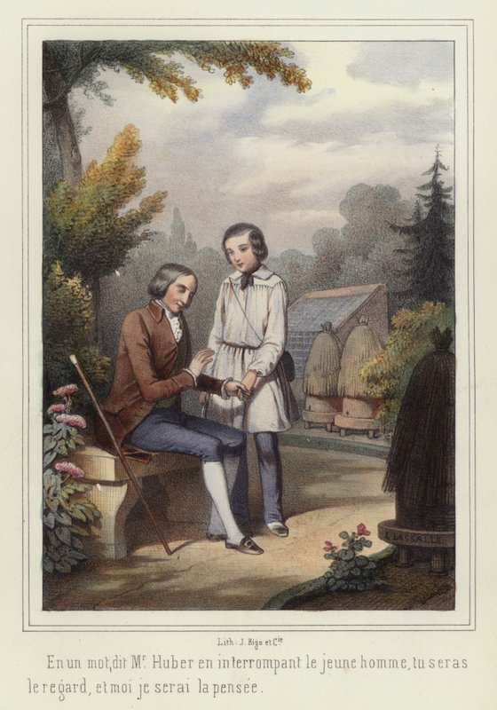 Chlapec pomáhá slepci (barevná litografie) od French School