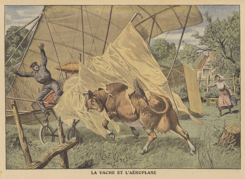 Kráva útočící na letadlo na americkém středozápadě (barva litho) od French School