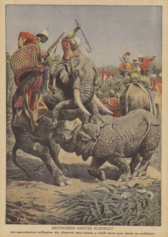 Nosorožec útočící na slona v Indii (barva litho) od French School