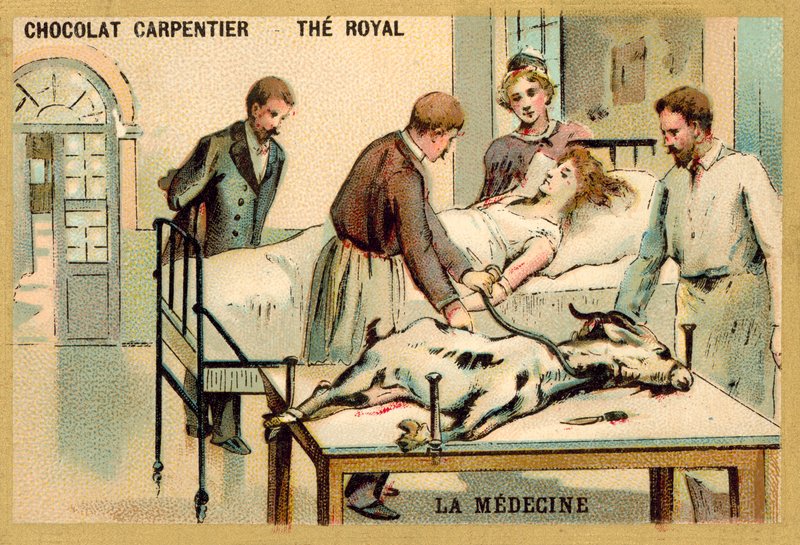 Žena, která dostává krevní transfuzi od kozy (chromolitho) od French School