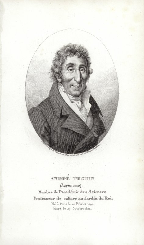 André Thouin od French School