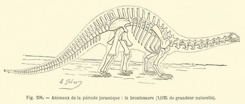 Zvířata jurského období, Brontosaurus (rytina) od French School