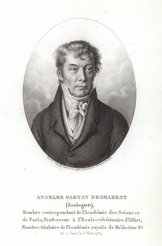 Anselme Gaetan Desmarest od French School