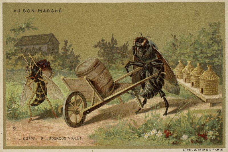 Karty Au Bon Marche s antropomorfním hmyzem od French School