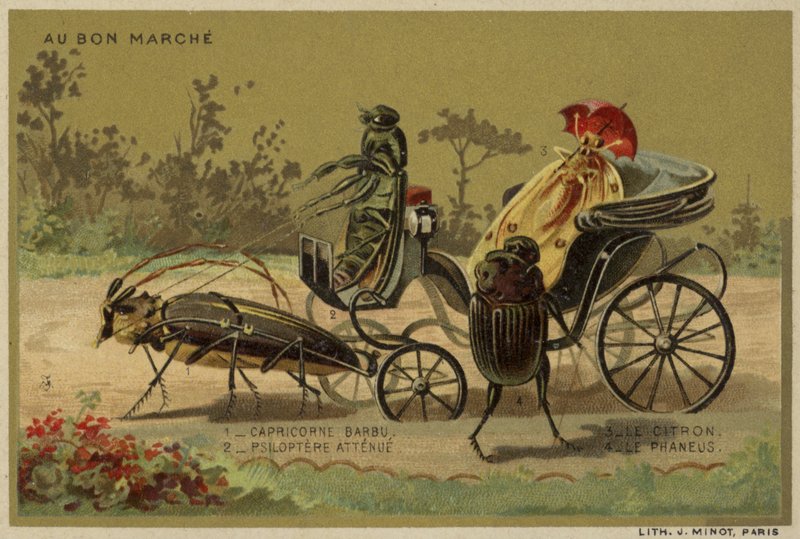 Karty Au Bon Marche s antropomorfním hmyzem od French School