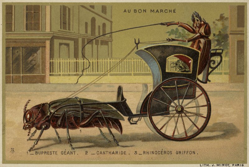 Karty Au Bon Marche s antropomorfním hmyzem od French School