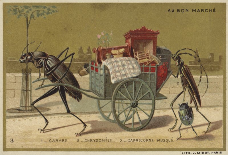 Karty Au Bon Marche s antropomorfním hmyzem od French School