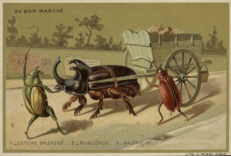 Karty Au Bon Marche s antropomorfním hmyzem od French School