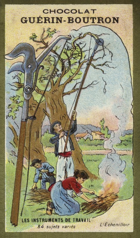 Averruncator od French School