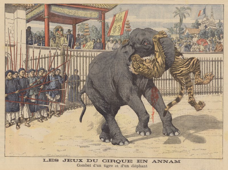 Souboj slona a tygra v cirkuse v Annamu v Indočíně (barevná litografie) od French School