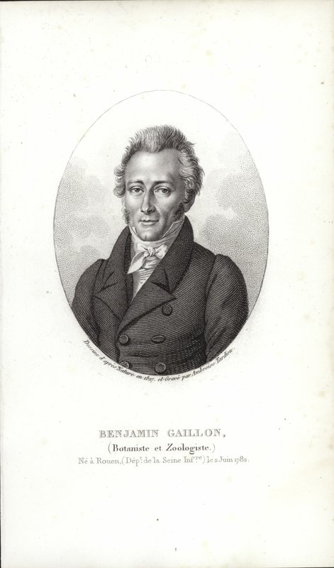 Benjamin Gaillon od French School