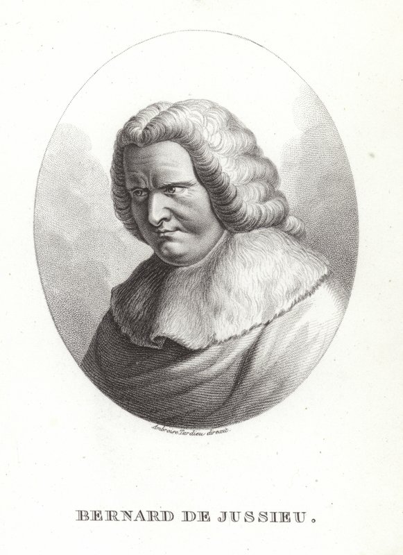 Bernard de Jussieu od French School