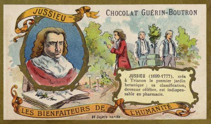 Bernard de Jussieu , francouzský přírodovědec (chromolitho) od French School